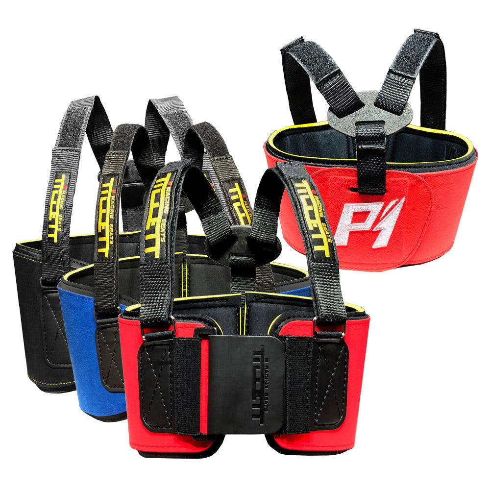 Beautiful view of E Motorcycle Rib Protector Set
