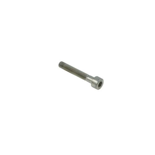 Throttle stop bolt M5 Cap 30mm Std Silver