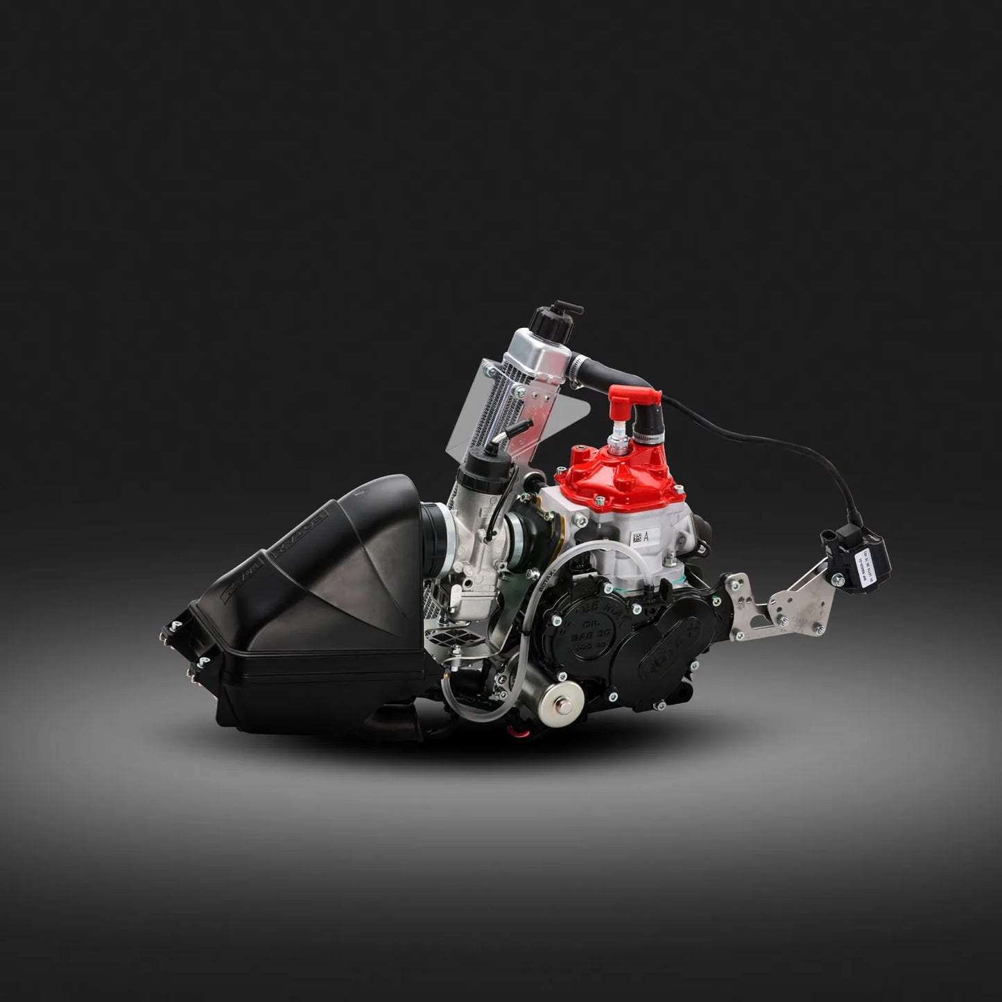 Rotax Max 125cc Evo Engine - CONTACT TO ORDER OR PRICE MATCH