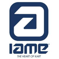 Iame Water Swift Cylinder Head - CONTACT TO ORDER