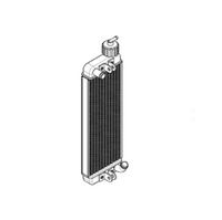 Iame Water Swift Radiator (IT8601)