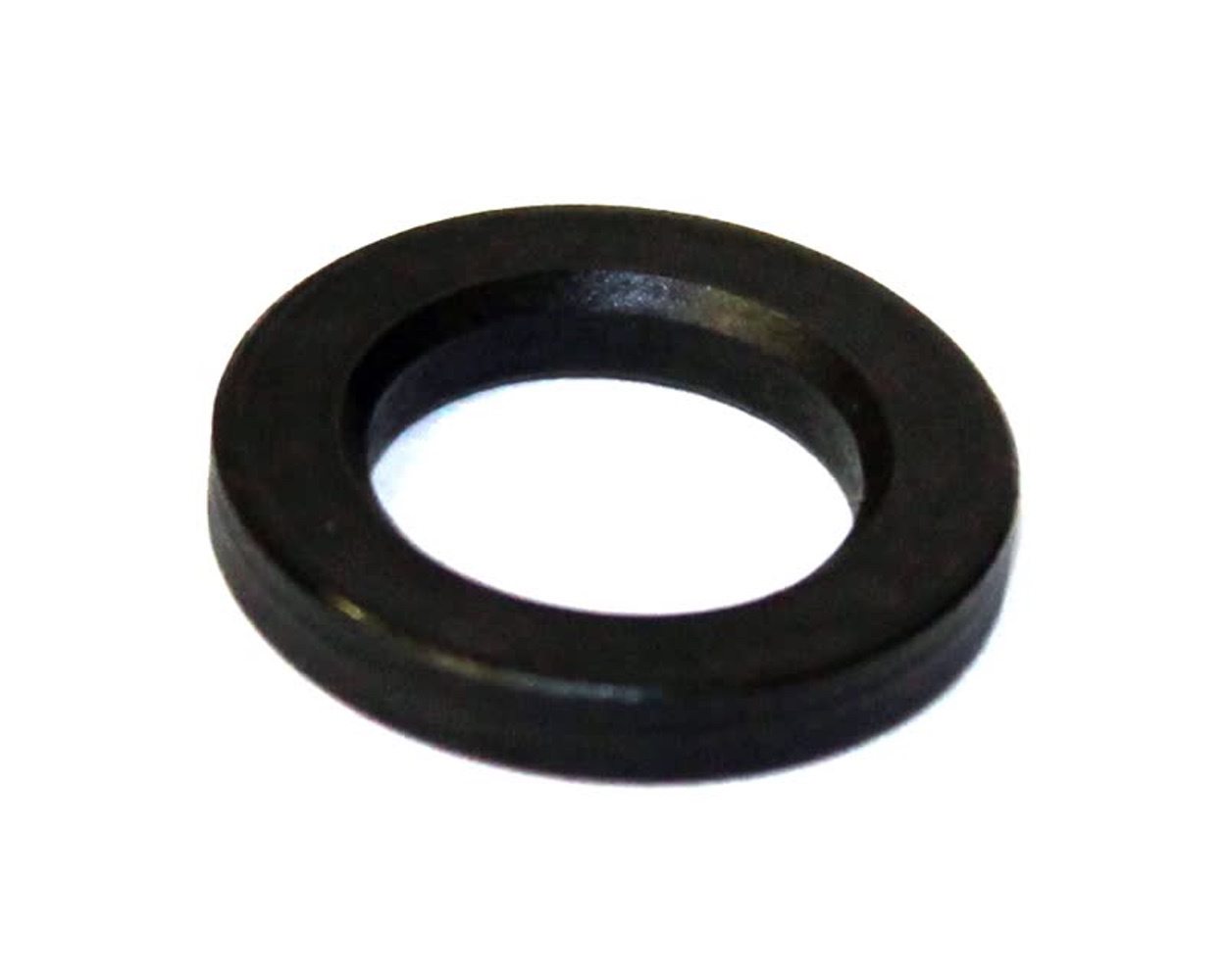 IAME X30 OUTER SPROCKET WASHER