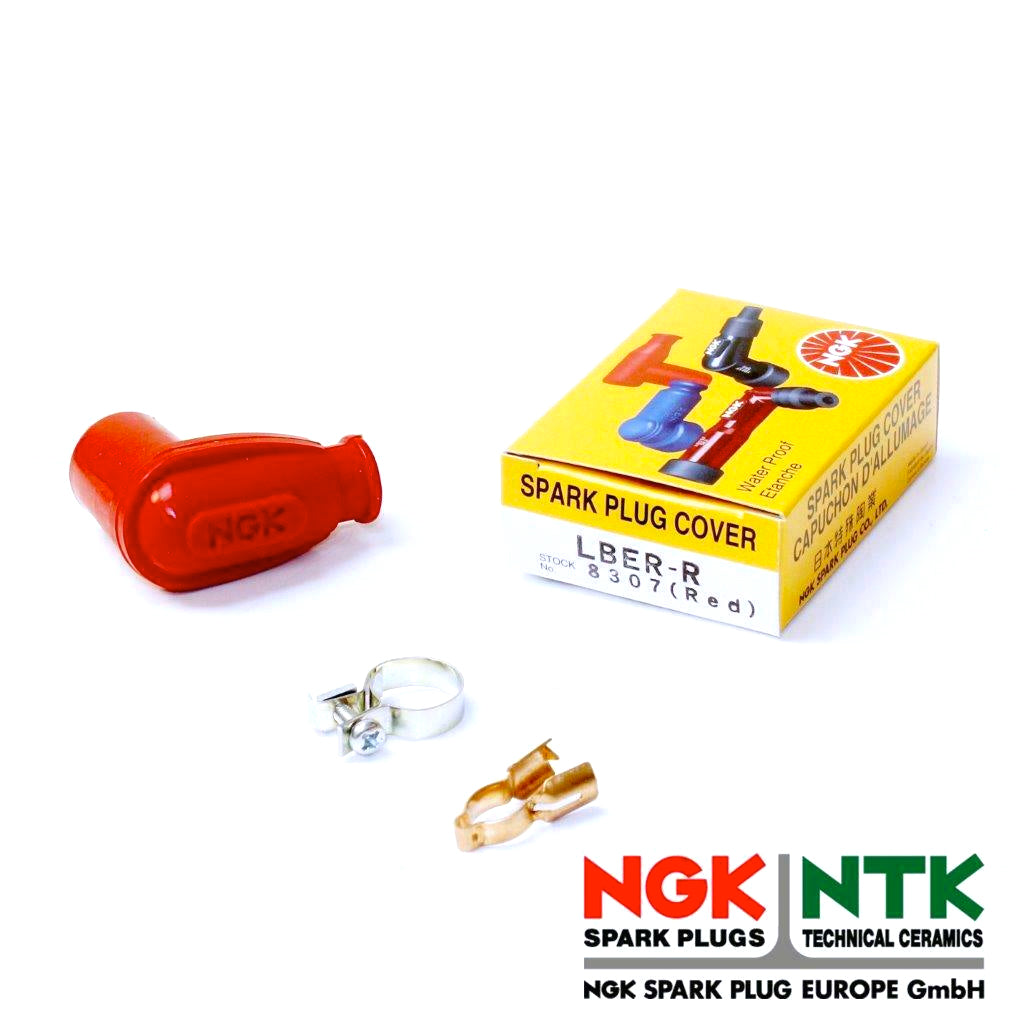 Ngk Spark Plug Lber-R